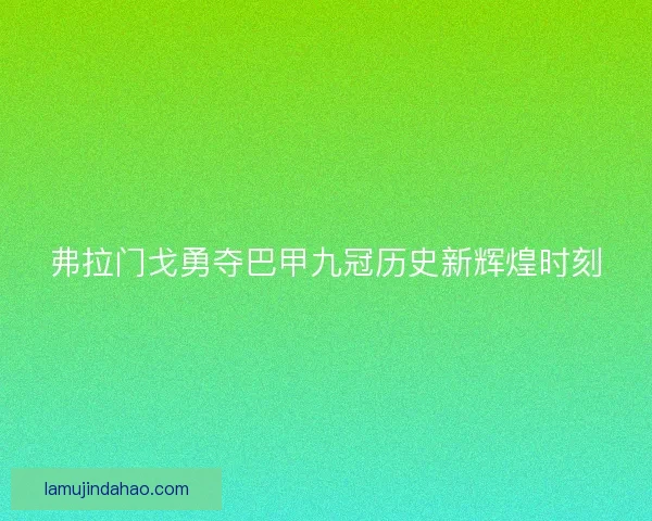弗拉门戈勇夺巴甲九冠历史新辉煌时刻